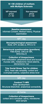 Protocol for a Cross-Sectional Study: Effects of a Multiple Sclerosis Relapse Therapy With Methylprednisolone on Offspring Neurocognitive Development and Behavior (MS-Children)